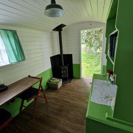 The Delkin Shepherds Huts كاسل كومب المظهر الخارجي الصورة