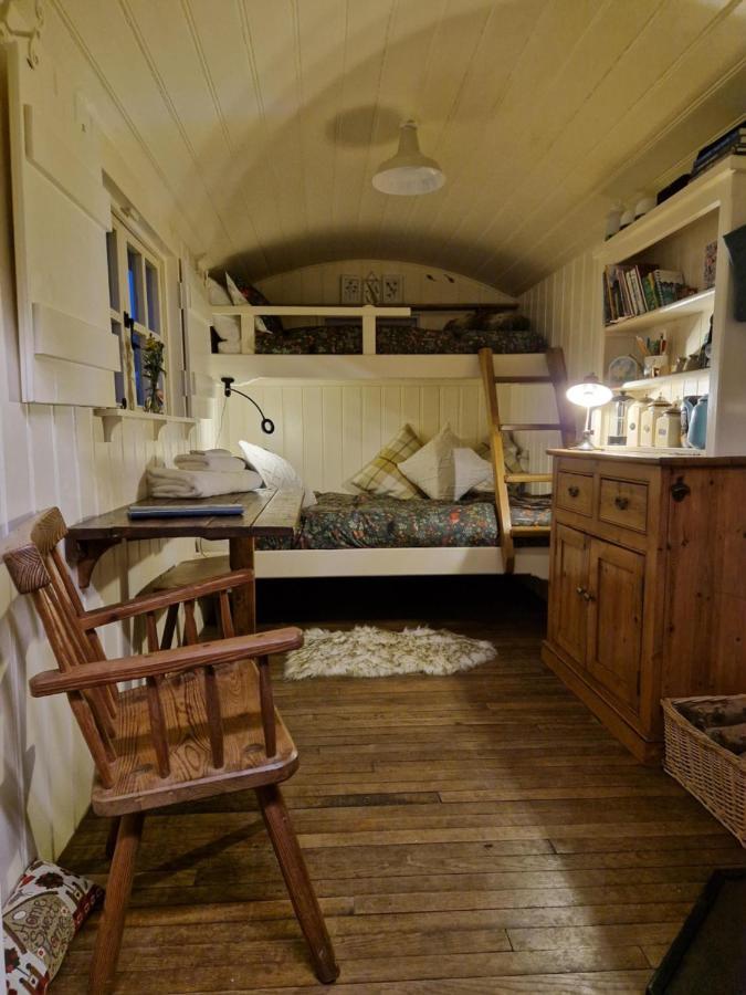 The Delkin Shepherds Huts كاسل كومب المظهر الخارجي الصورة